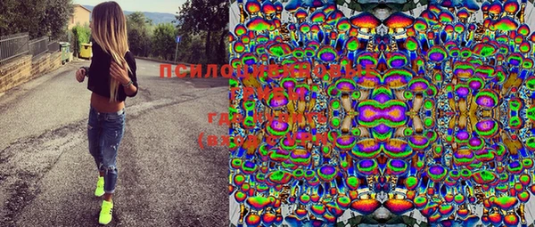не бодяженный Лабытнанги