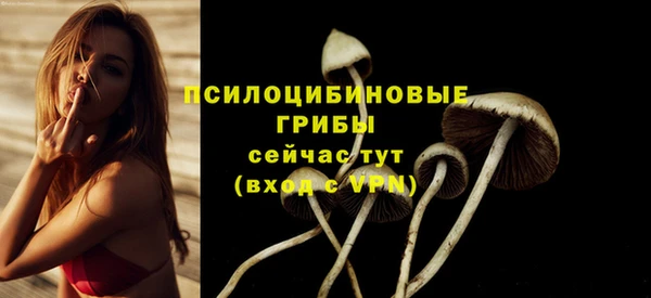 а пвп мука Лагань