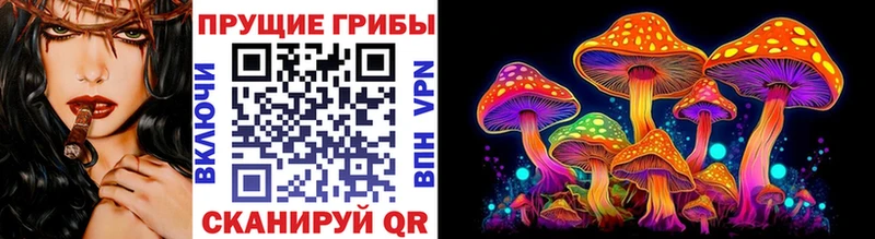 Галлюциногенные грибы Psilocybe  Купить где  Подольск 